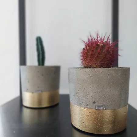 Panier en béton pour plantes